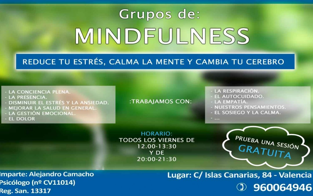 DOS GRUPOS DE «MINDFULNESS PARA TODOS» EN FISIOLIFE PLUS